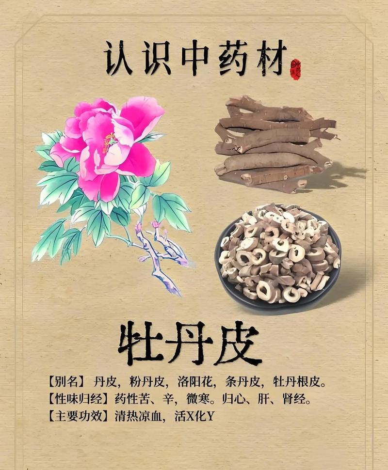 白芍种植的绝妙技巧