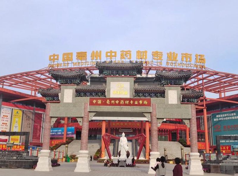 中药材种植：从传统到现代的蜕变与探索