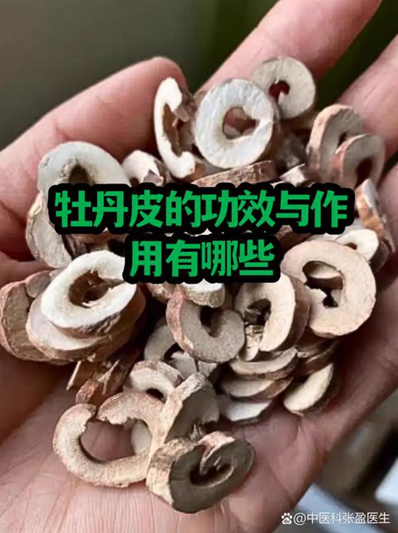 中药宝库：亳州中药材产业的崛起与成长